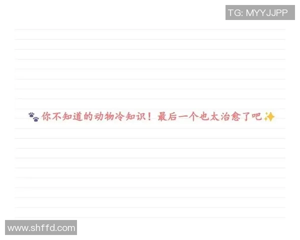 你不知道的总决赛：十大冷知识大揭秘