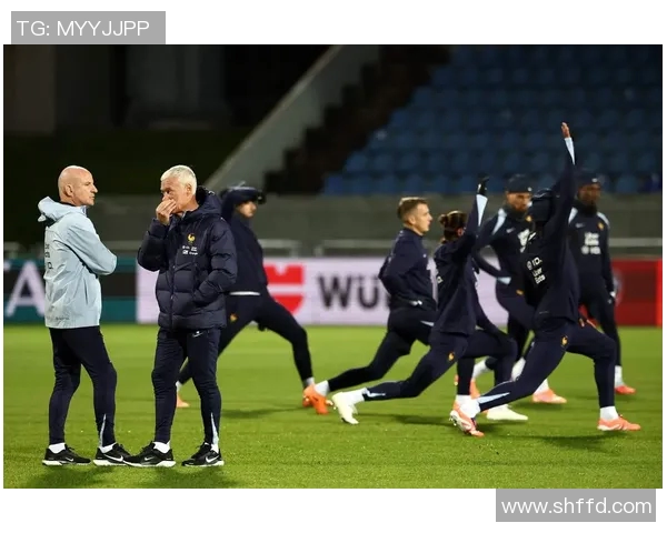 世界杯预选赛最新进展各队晋级前景深度分析与形势透视